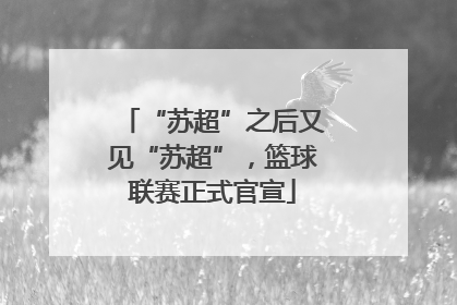 “苏超”之后又见“苏超”，篮球联赛正式官宣