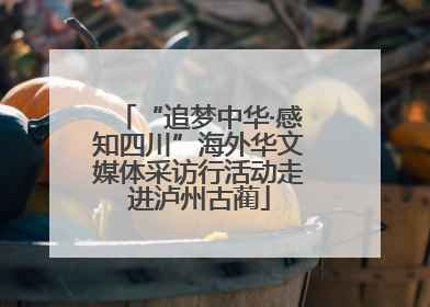 “追梦中华·感知四川”海外华文媒体采访行活动走进泸州古蔺