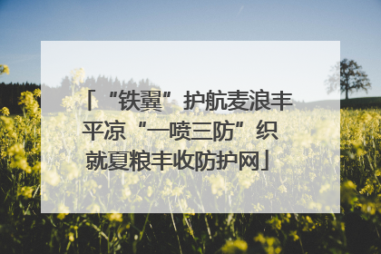“铁翼”护航麦浪丰 平凉“一喷三防”织就夏粮丰收防护网