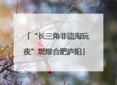“长三角非遗淘玩夜”燃爆合肥庐阳