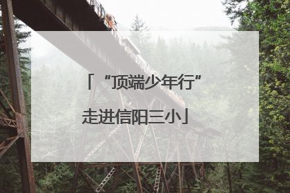 “顶端少年行”走进信阳三小