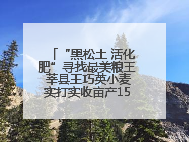 “黑松土 活化肥”寻找最美粮王 莘县王巧英小麦实打实收亩产1515.4斤 超对照田144斤！