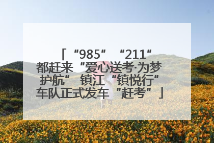 “985”“211”都赶来“爱心送考·为梦护航” 镇江“镇悦行”车队正式发车“赶考”
