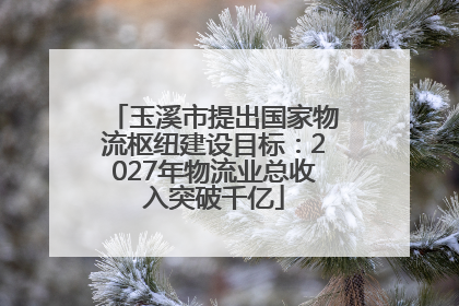玉溪市提出国家物流枢纽建设目标：2027年物流业总收入突破千亿