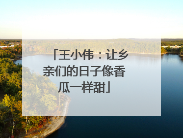 王小伟：让乡亲们的日子像香瓜一样甜