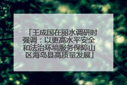 王成国在丽水调研时强调：以更高水平安全和法治环境服务保障山区海岛县高质量发展