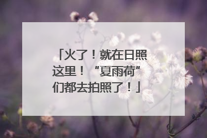 火了！就在日照这里！“夏雨荷”们都去拍照了！