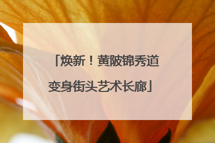 焕新！黄陂锦秀道变身街头艺术长廊