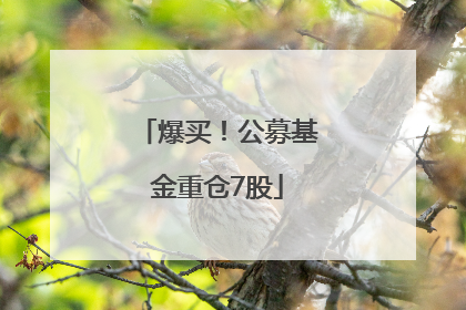 爆买！公募基金重仓7股