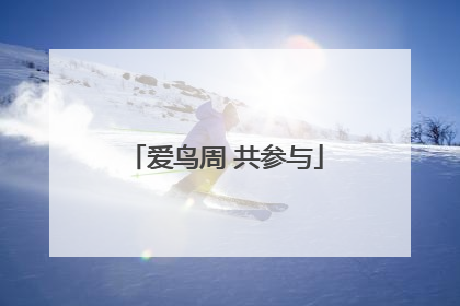 爱鸟周 共参与