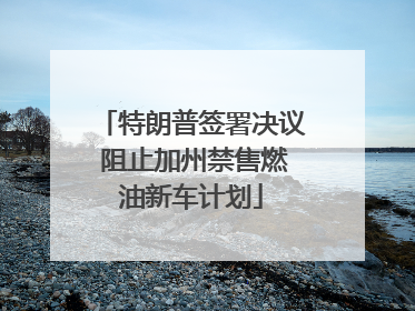 特朗普签署决议 阻止加州禁售燃油新车计划