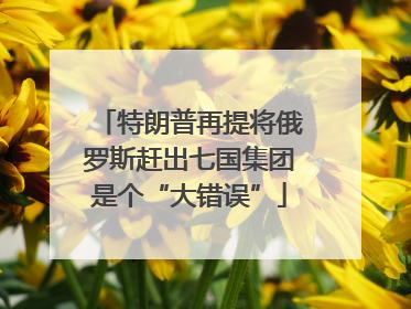 特朗普再提将俄罗斯赶出七国集团是个“大错误”
