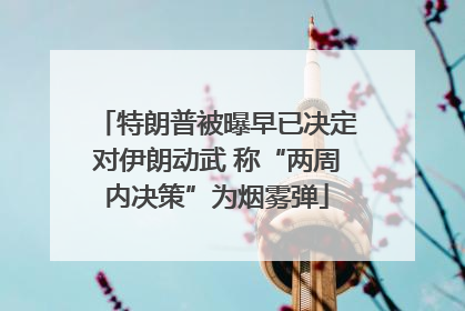 特朗普被曝早已决定对伊朗动武 称“两周内决策”为烟雾弹