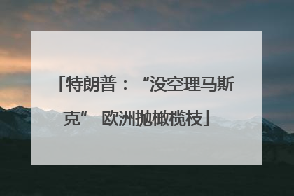 特朗普：“没空理马斯克” 欧洲抛橄榄枝