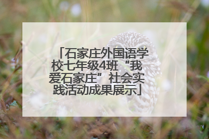 石家庄外国语学校七年级4班“我爱石家庄”社会实践活动成果展示