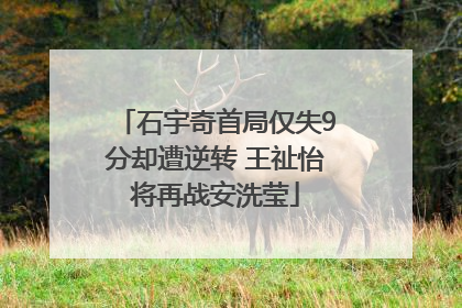 石宇奇首局仅失9分却遭逆转 王祉怡将再战安洗莹