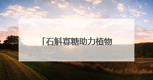 石斛寡糖助力植物医生防晒新品，展现中国成分的力量