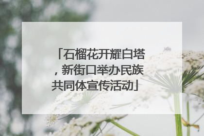 石榴花开耀白塔，新街口举办民族共同体宣传活动