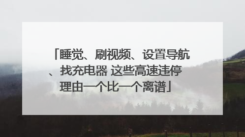 睡觉、刷视频、设置导航、找充电器 这些高速违停理由一个比一个离谱