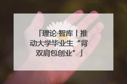 理论·智库丨推动大学毕业生“背双肩包创业”