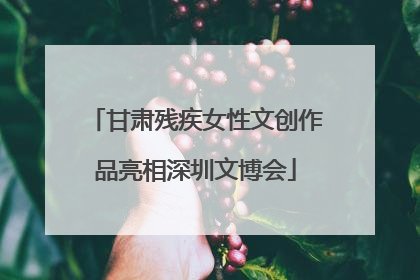 甘肃残疾女性文创作品亮相深圳文博会