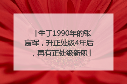 生于1990年的张宸珲，升正处级4年后，再有正处级新职