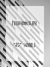 田间地头的“芯”动能