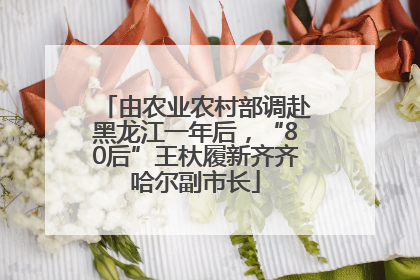 由农业农村部调赴黑龙江一年后，“80后”王杕履新齐齐哈尔副市长