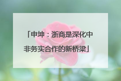 申坤：浙商是深化中非务实合作的新桥梁