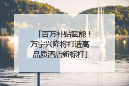 百万补贴赋能！万宁兴隆将打造高品质酒店新标杆