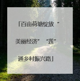 百亩荷塘绽放“美丽经济”“莲”通乡村振兴路
