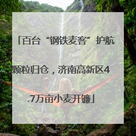 百台“钢铁麦客”护航颗粒归仓，济南高新区4.7万亩小麦开镰