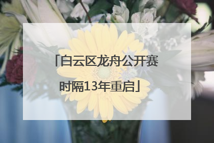白云区龙舟公开赛时隔13年重启