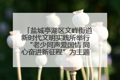 盐城亭湖区文峰街道新时代文明实践所举行“老少同声爱国情 同心奋进新征程”为主题的红色文化活动