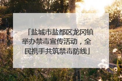 盐城市盐都区龙冈镇举办禁毒宣传活动，全民携手共筑禁毒防线