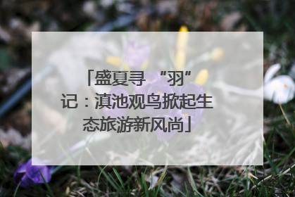 盛夏寻 “羽” 记：滇池观鸟掀起生态旅游新风尚
