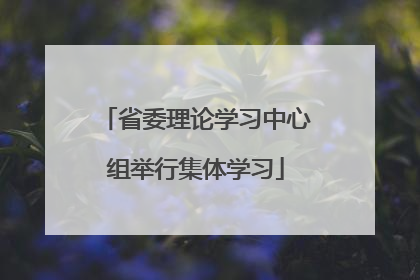省委理论学习中心组举行集体学习