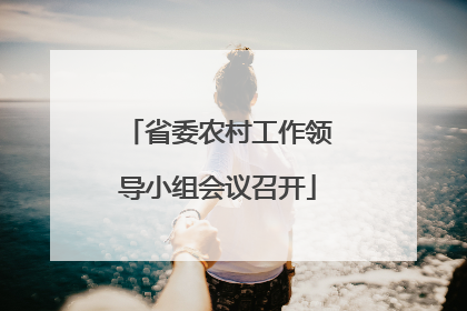省委农村工作领导小组会议召开