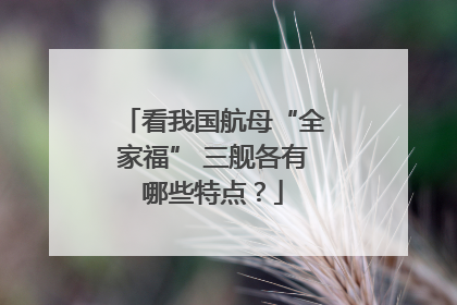 看我国航母“全家福” 三舰各有哪些特点？