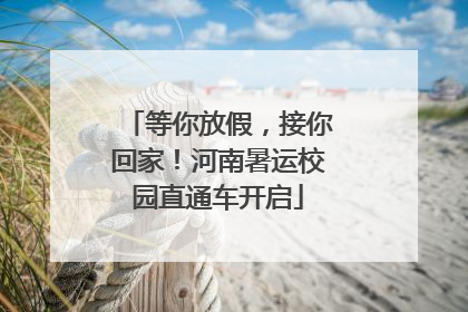 等你放假，接你回家！河南暑运校园直通车开启