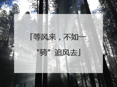 等风来，不如一“骑”追风去