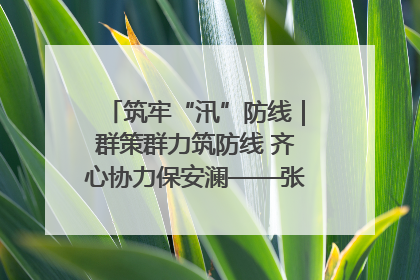 筑牢“汛”防线｜群策群力筑防线 齐心协力保安澜——张家界高新区上下众志成城迎战汛情