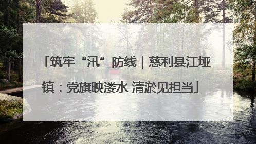 筑牢“汛”防线｜慈利县江垭镇：党旗映溇水 清淤见担当