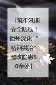 筑牢汛期安全防线！德州深化“桥河共治”整改隐患50余处