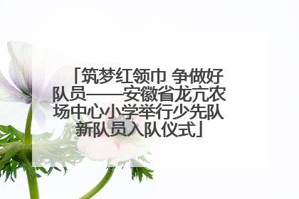 筑梦红领巾 争做好队员——安徽省龙亢农场中心小学举行少先队新队员入队仪式