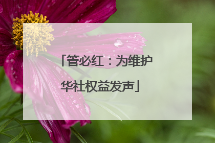 管必红：为维护华社权益发声