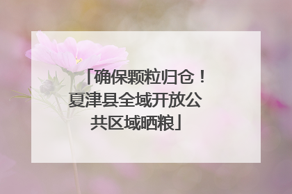 确保颗粒归仓！夏津县全域开放公共区域晒粮
