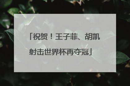 祝贺！王子菲、胡凯射击世界杯再夺冠