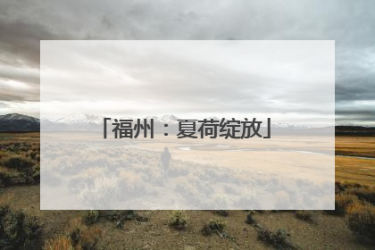 福州：夏荷绽放