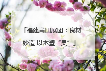 福建莆田展团：良材妙造 以木塑“灵”